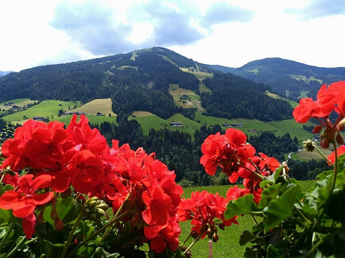 Aussermooserhof アルプバッハ エクステリア 写真