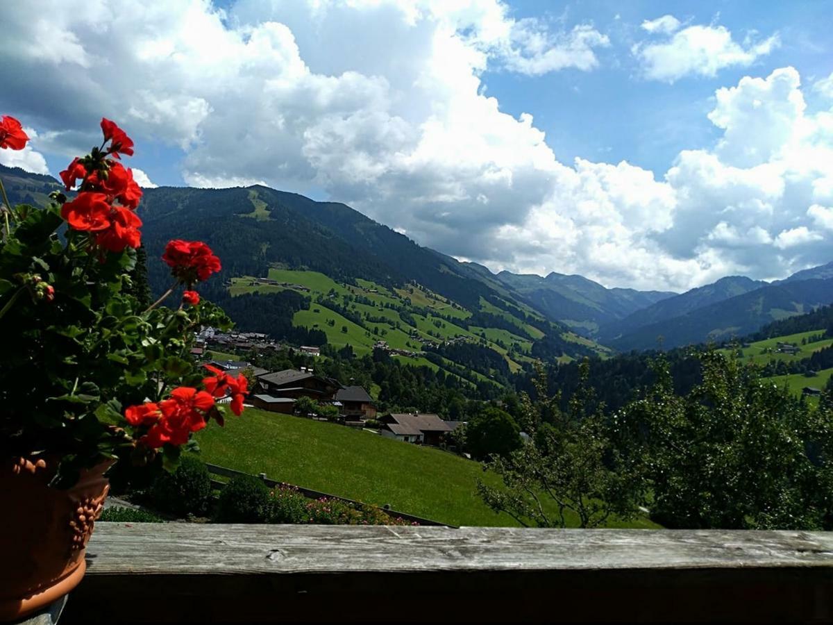 Aussermooserhof アルプバッハ エクステリア 写真